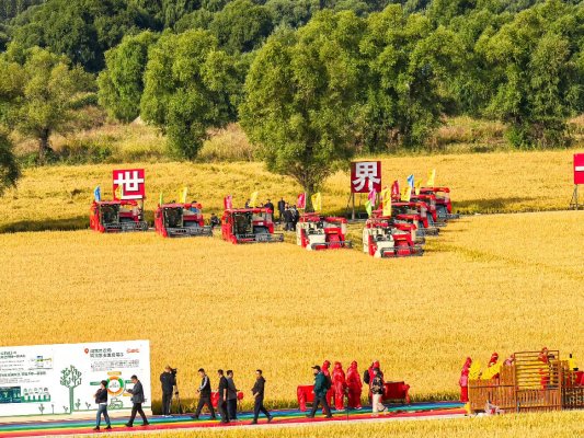 6.黑龙江丰收节分会场